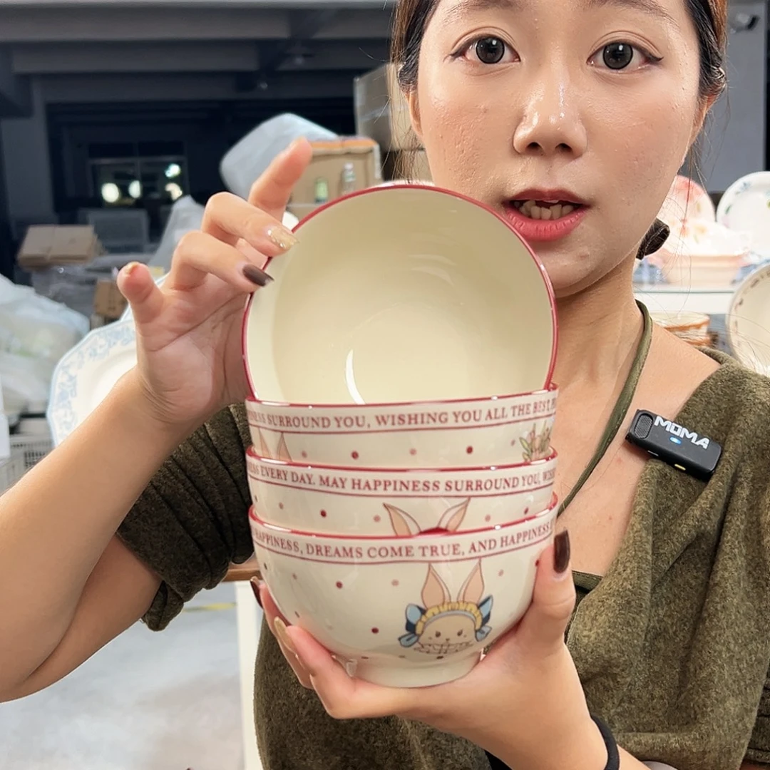 潮州微瑕陶瓷餐具5寸