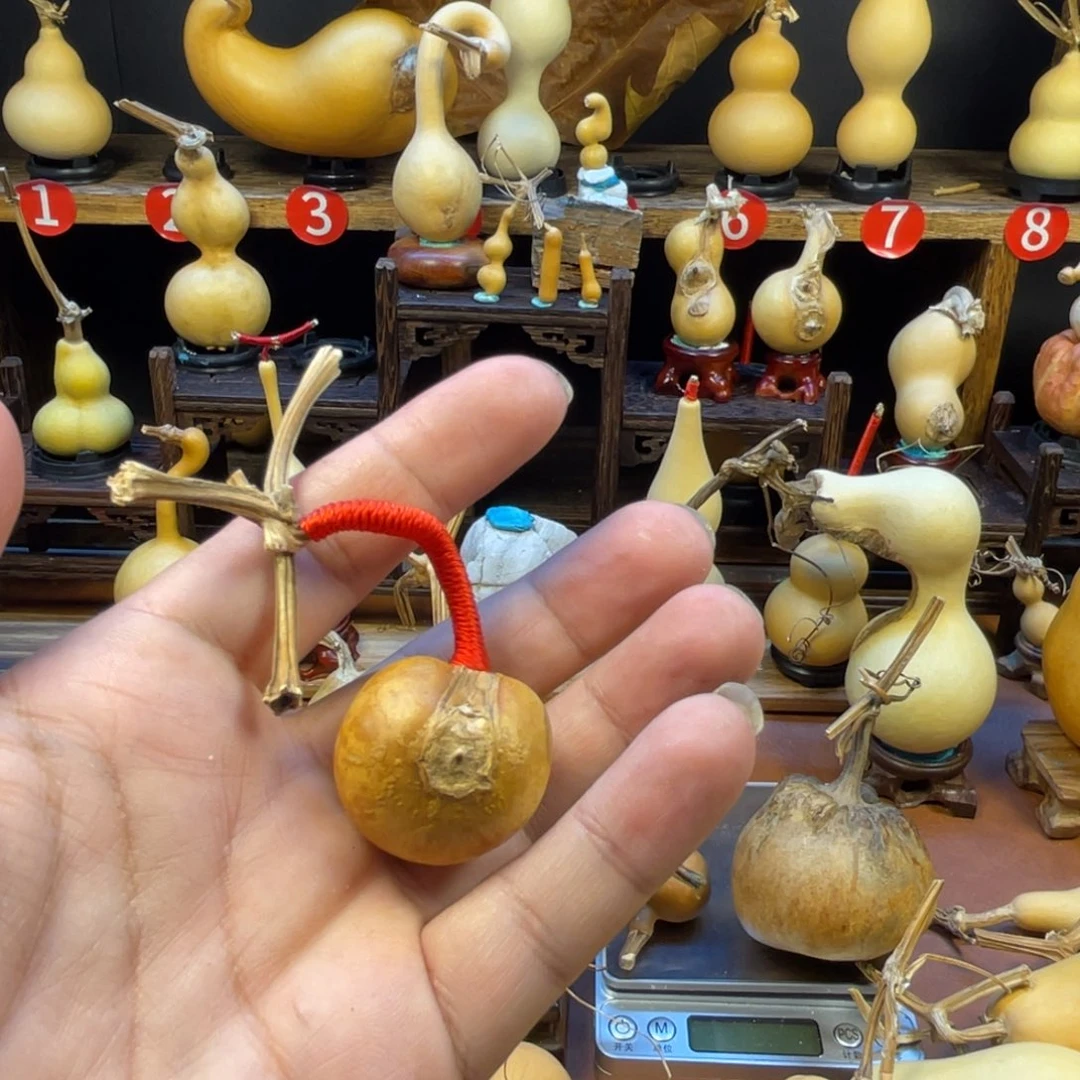 白***粥葫芦葫芦也很好看哦哈