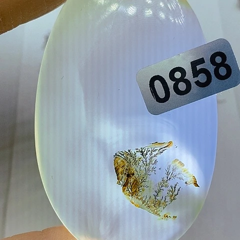 未镶嵌颈饰玛瑙/玉髓长*树