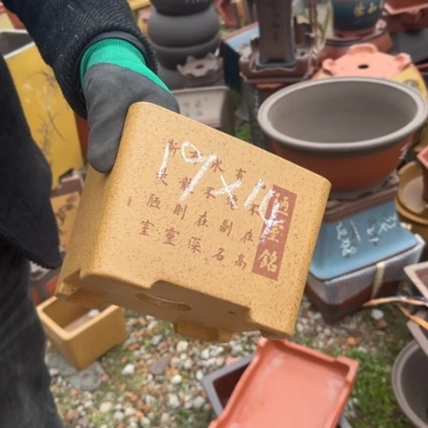 紫砂花盆紫砂花盆盆景盆栽