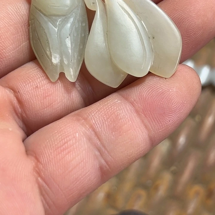 靓***丽三醋酯纤维我也很喜欢这个风格啊这