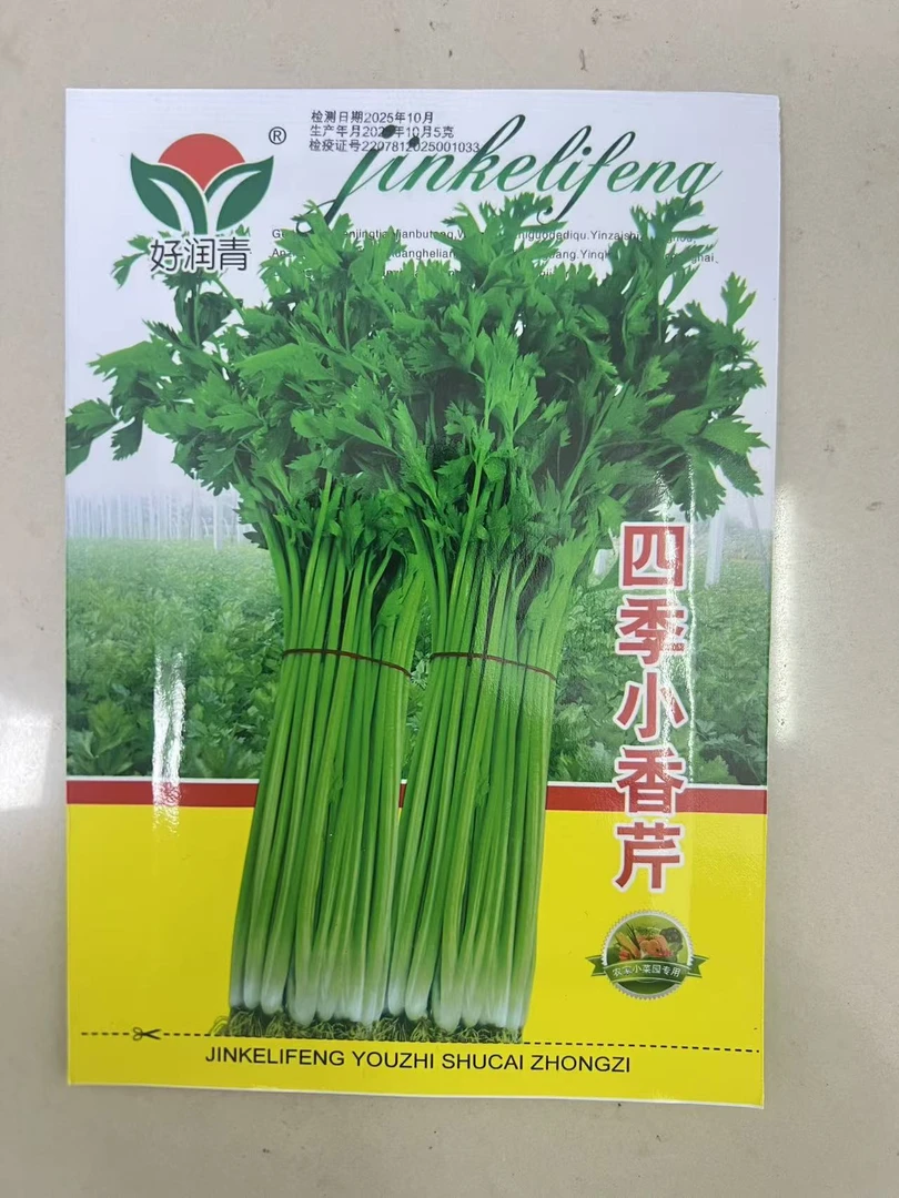 四季小香芹小菜园种植