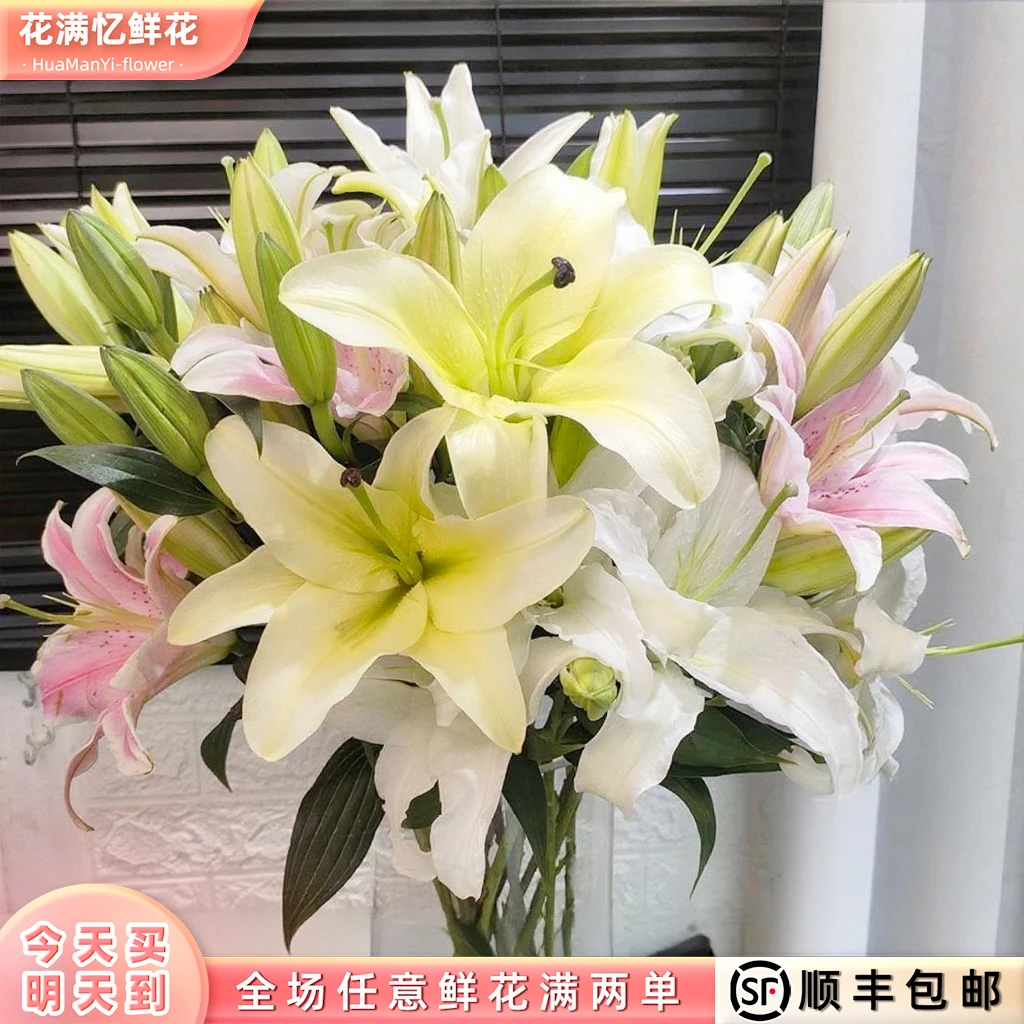 次日达 -【五彩香水百合】混色百合 6-8头鲜花鲜切花家居批发任意两单顺丰包邮三单送随机花瓶今天拍明天到bb