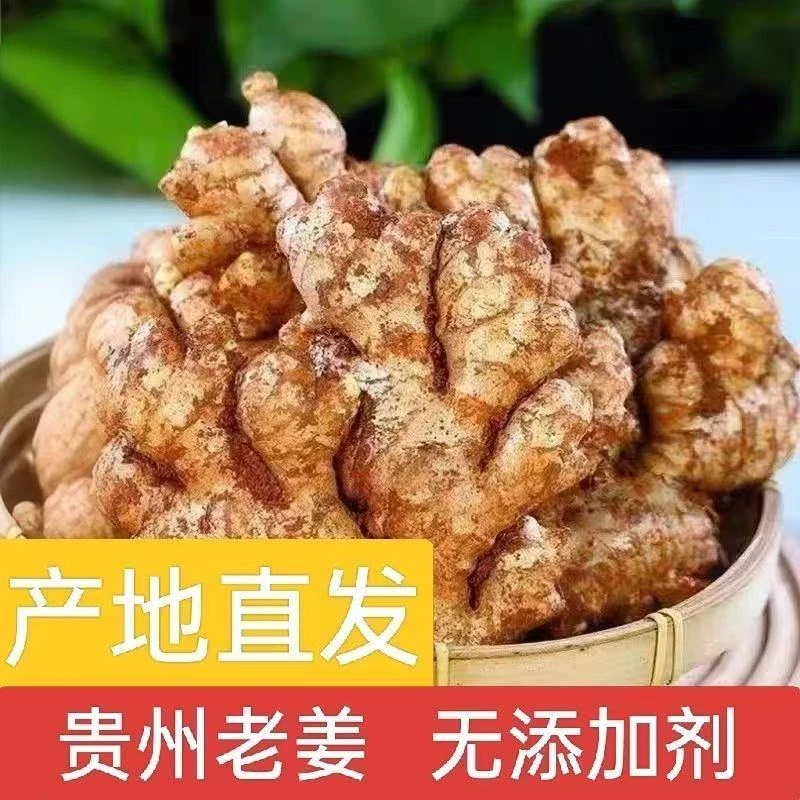 W贵州小黄姜山地种植【老姜】香味浓郁辛辣够味产地直销生姜新鲜姜