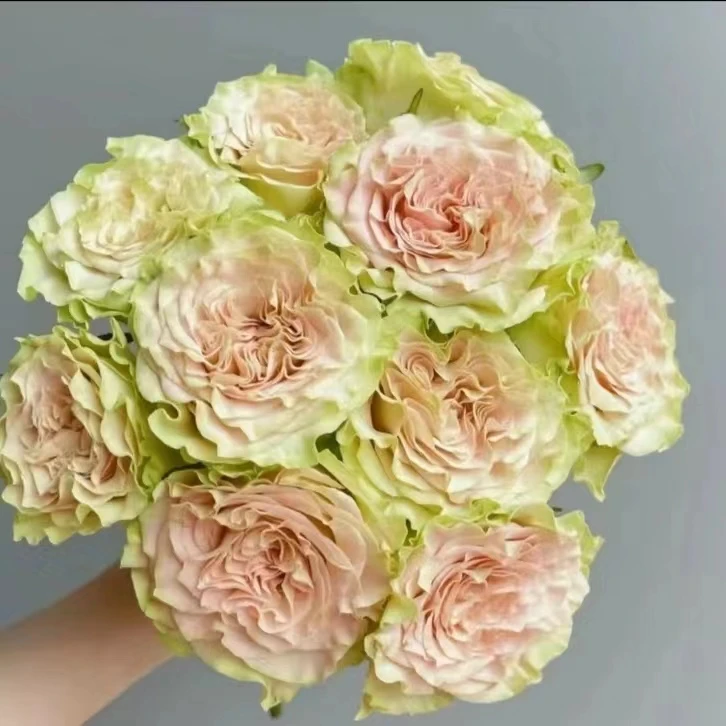 【A5套餐】上官婉儿玫瑰+洋桔梗+紫罗兰+风铃+叶子