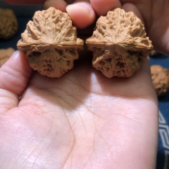 天***秋把件文玩核桃野牛