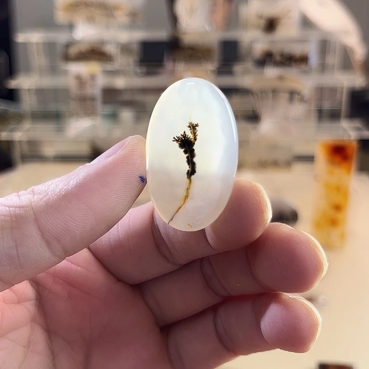 未镶嵌吊坠(不含链)玛瑙/玉髓