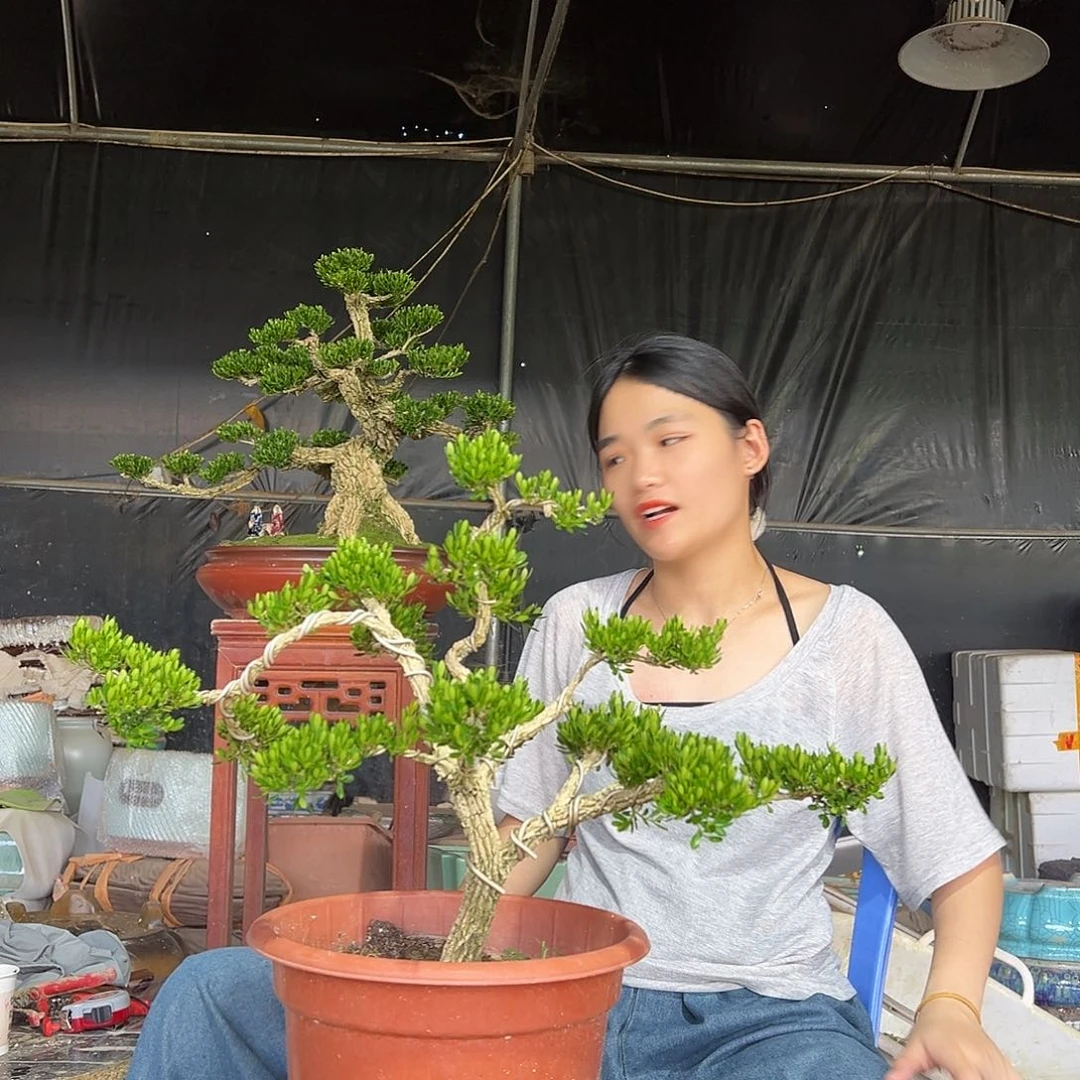 琉璃手工艺品黄杨盆景