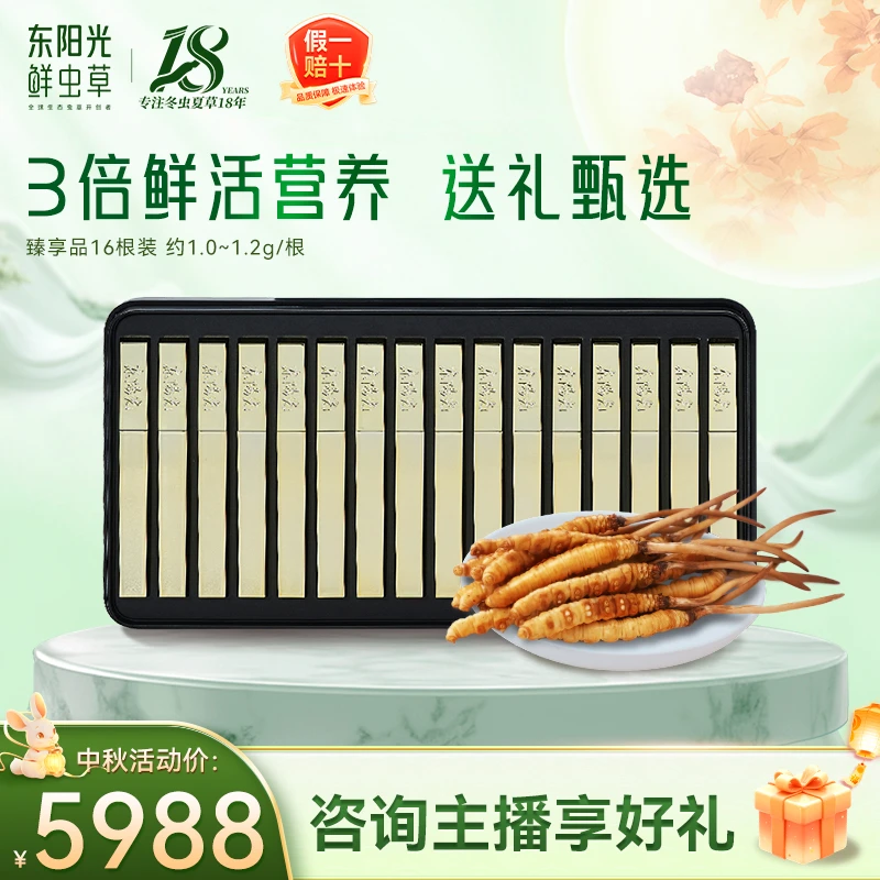 东阳光新鲜冬虫夏草1~1.2g/支16支装礼盒臻享品滋补品质官方正品