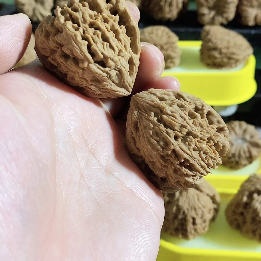木质类今天是不是又要