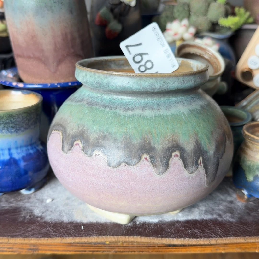 重庆小燕子欢迎大家897