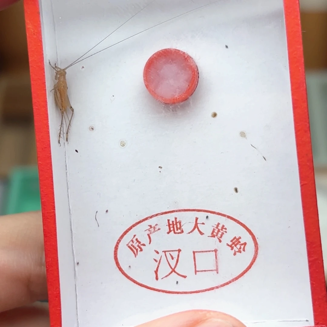 就哈哈哈哈哈哈哈哈哈