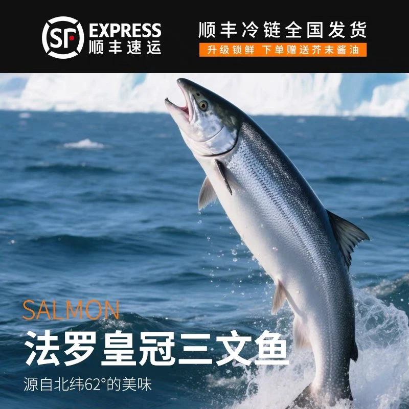 挪威三文鱼刺身中段纯肉现场称重大西洋鲑鱼送调味汁山葵酱