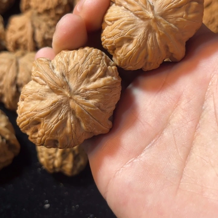 文玩核桃元宝43全品