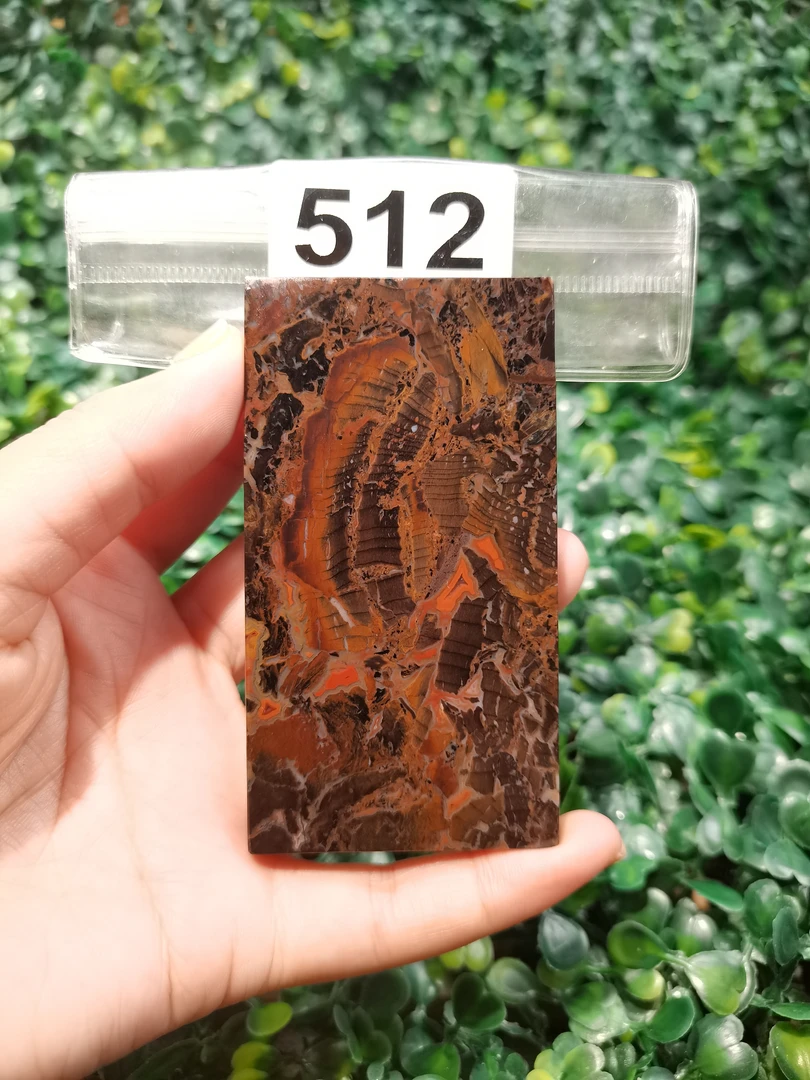 天然北票硅化玉牌子长90mm宽：49mm厚：7mm