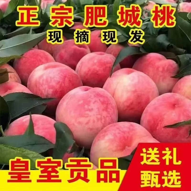 【福利品】净重5斤单果7两左右正宗肥城桃贡桃顺丰包邮
