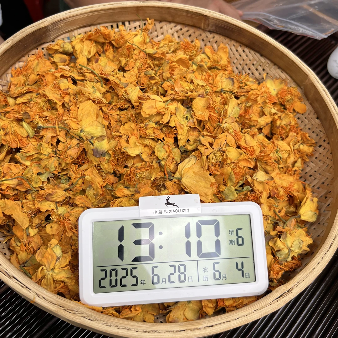 金莲花 小鹿收茶 6月28