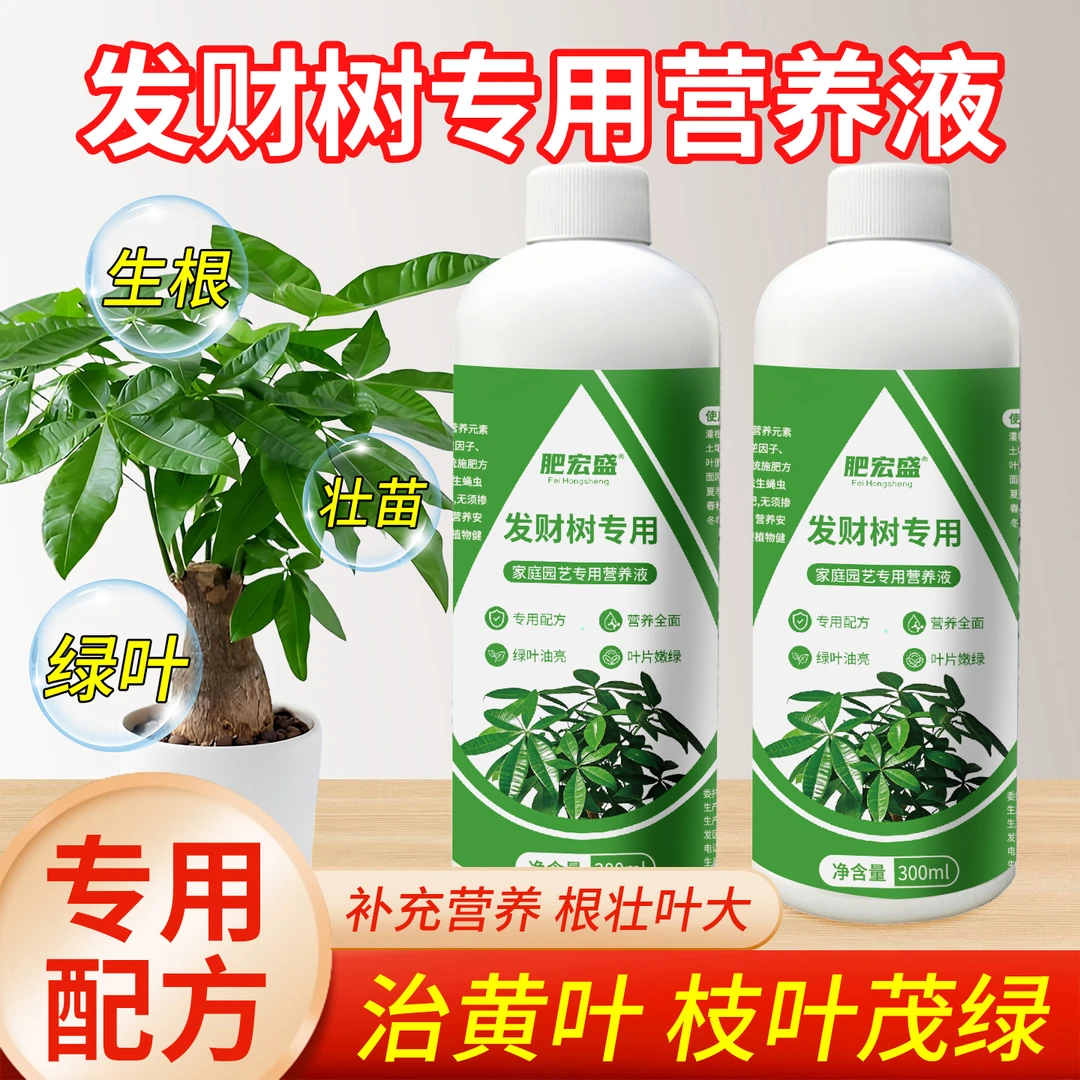 发财树专用营养液促进水培生长生根防治烂根提供植物所需营养元素