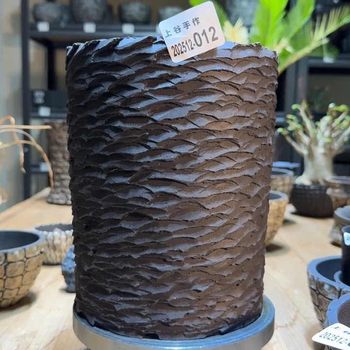 内口16.5高22块根植物黑陶