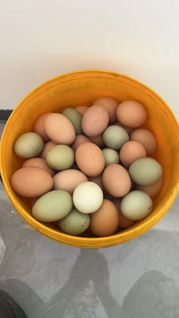 农村自己家笨鸡蛋（红绿混大小不一）