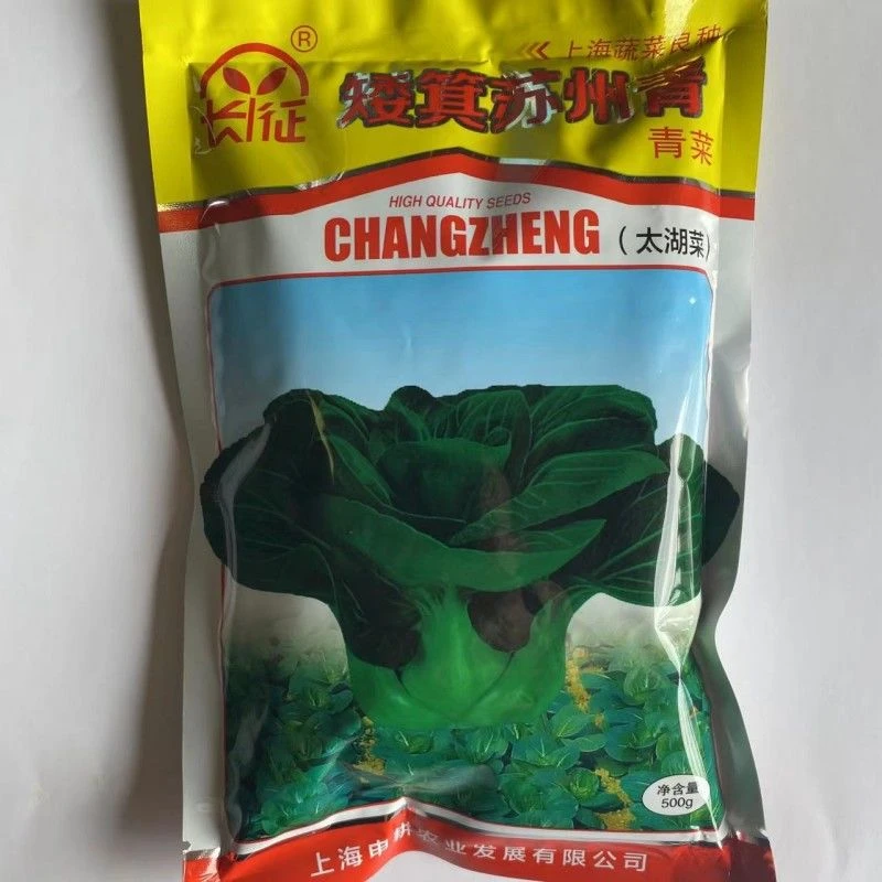 矮箕苏州青耐寒秋冬可种的苏州青青菜种子全国均可种植