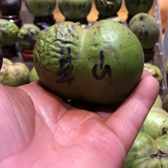 吊坠桃核核桃核桃