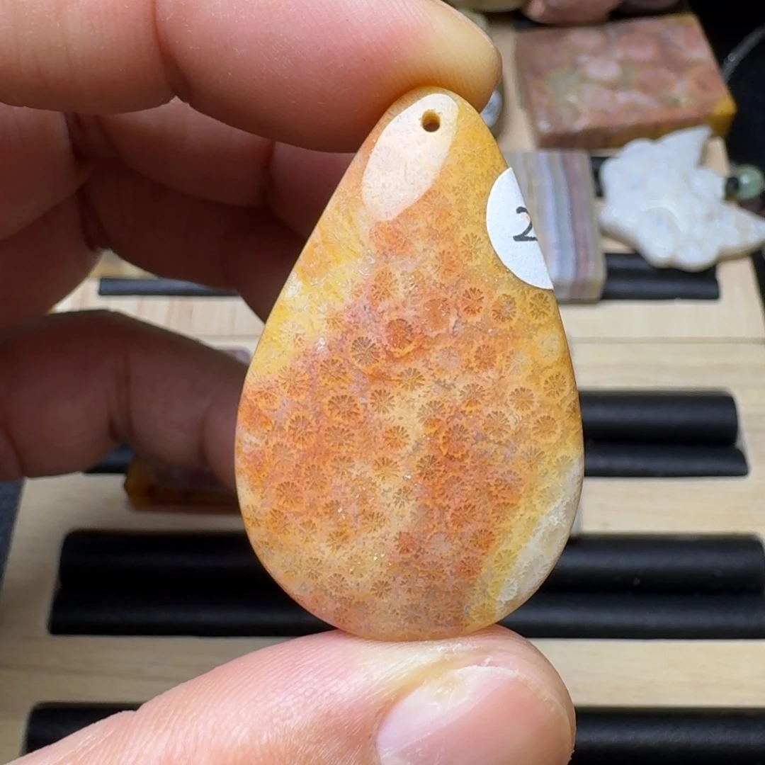 未镶嵌纯天然色有机玉石保真色硅化玉
