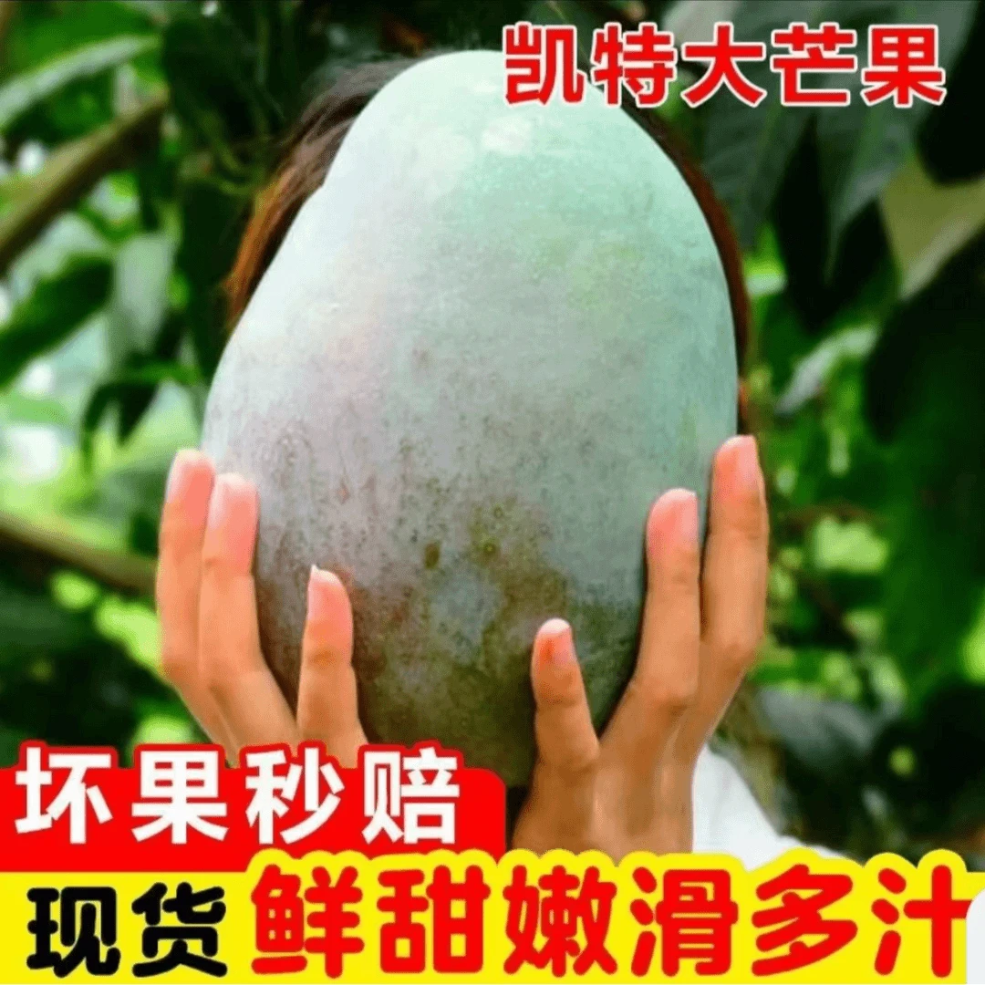 【辛平优选】攀枝花凯特芒果新鲜当季水果酸甜多汁核小肉多