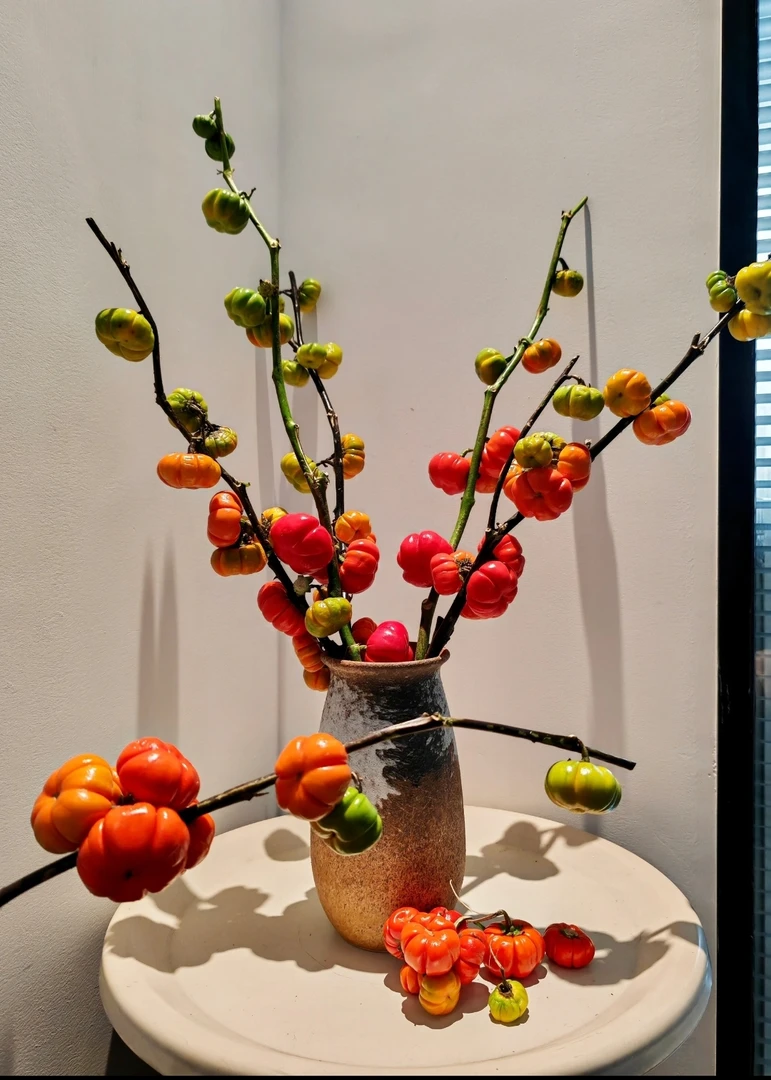 （柏查推荐）小南瓜鲜切花可做干花