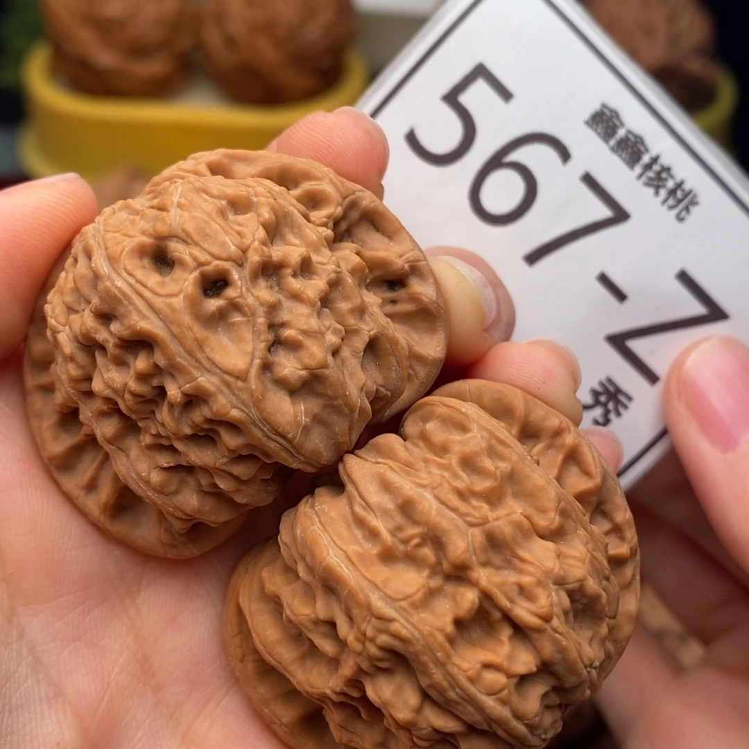 文玩核桃把件白狮子42……