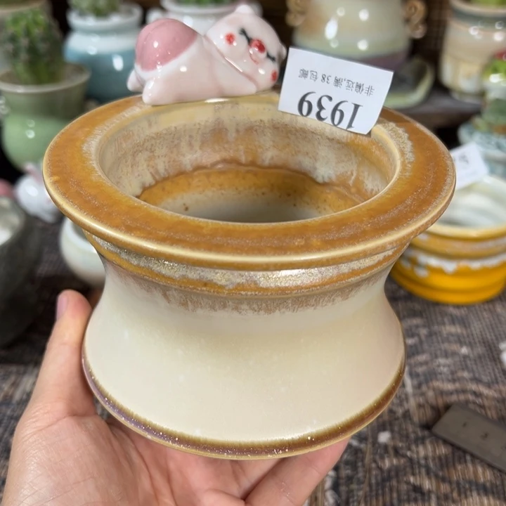 口9高9     活动价满30包邮