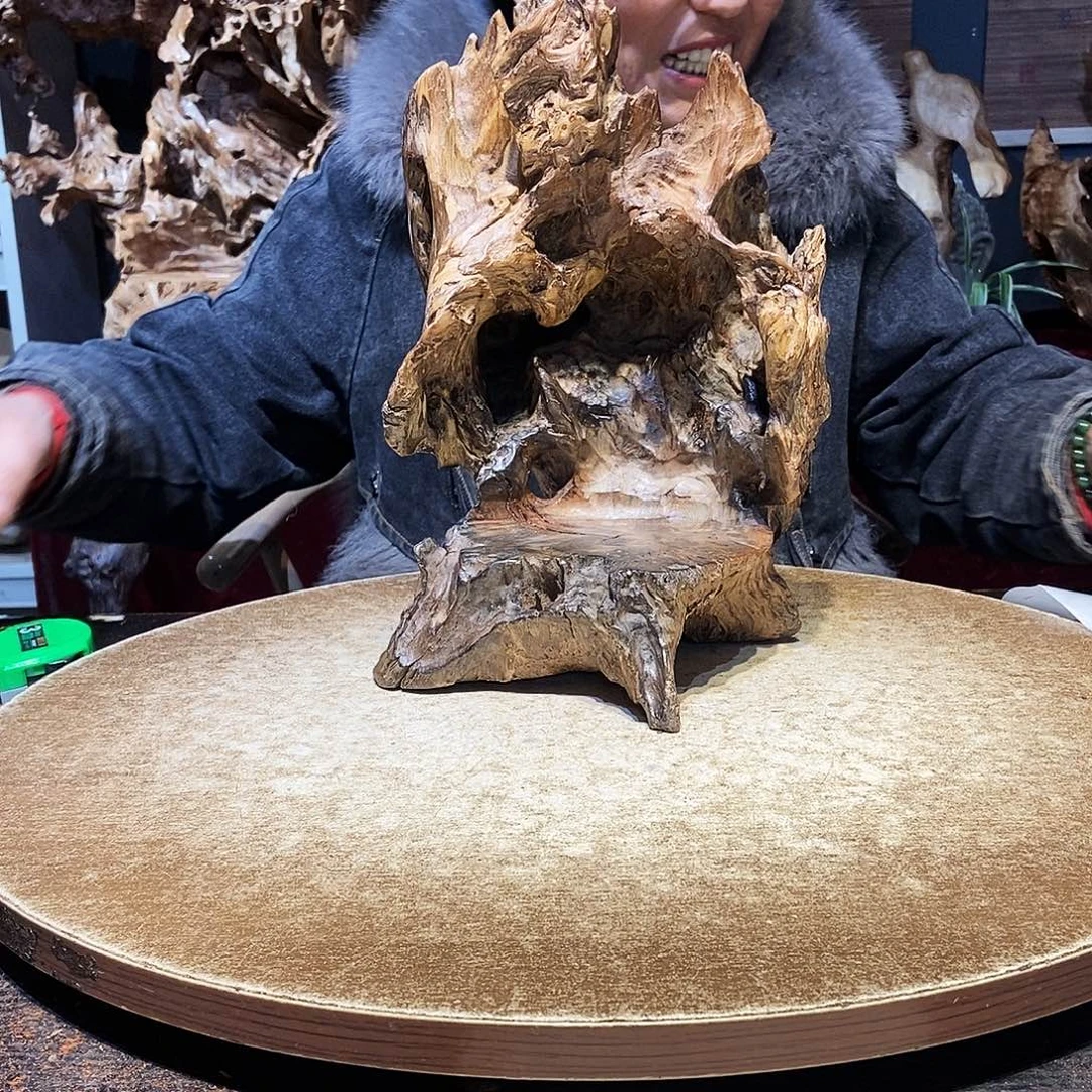 壶***哥960。株木随行根艺