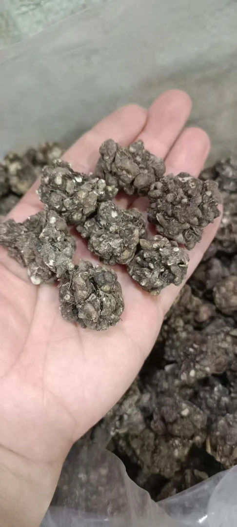 兴兴山货，农家。高山猫抓草