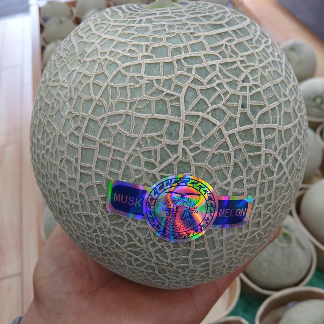 网纹蜜瓜软糯甜瓜1个（重量约2.3斤到2.7斤）