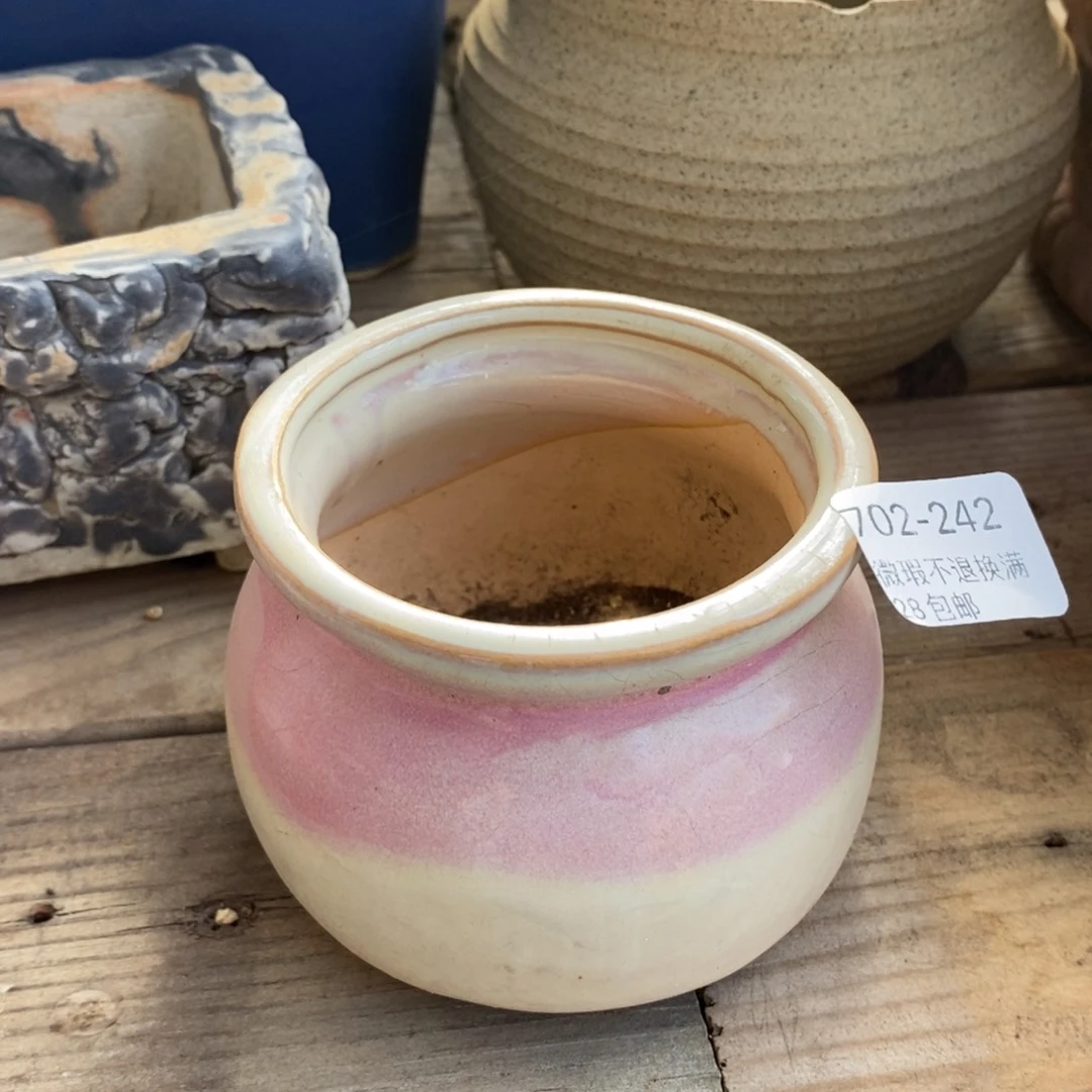 242号多肉盆口径6