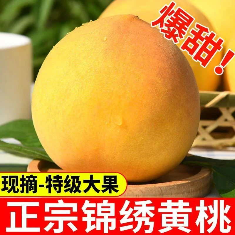 正宗蒙阴山东锦绣大黄桃应季水果产地直发新鲜采摘一口爆汁