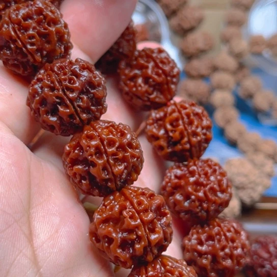 金刚菩提手串Y056/19/5