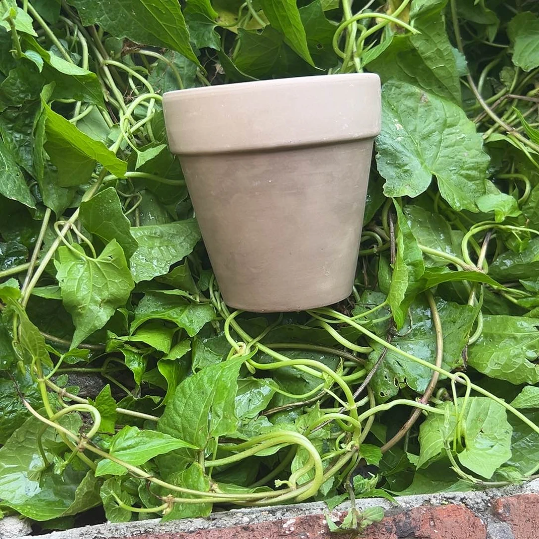 瑕疵灰陶13口12高1个