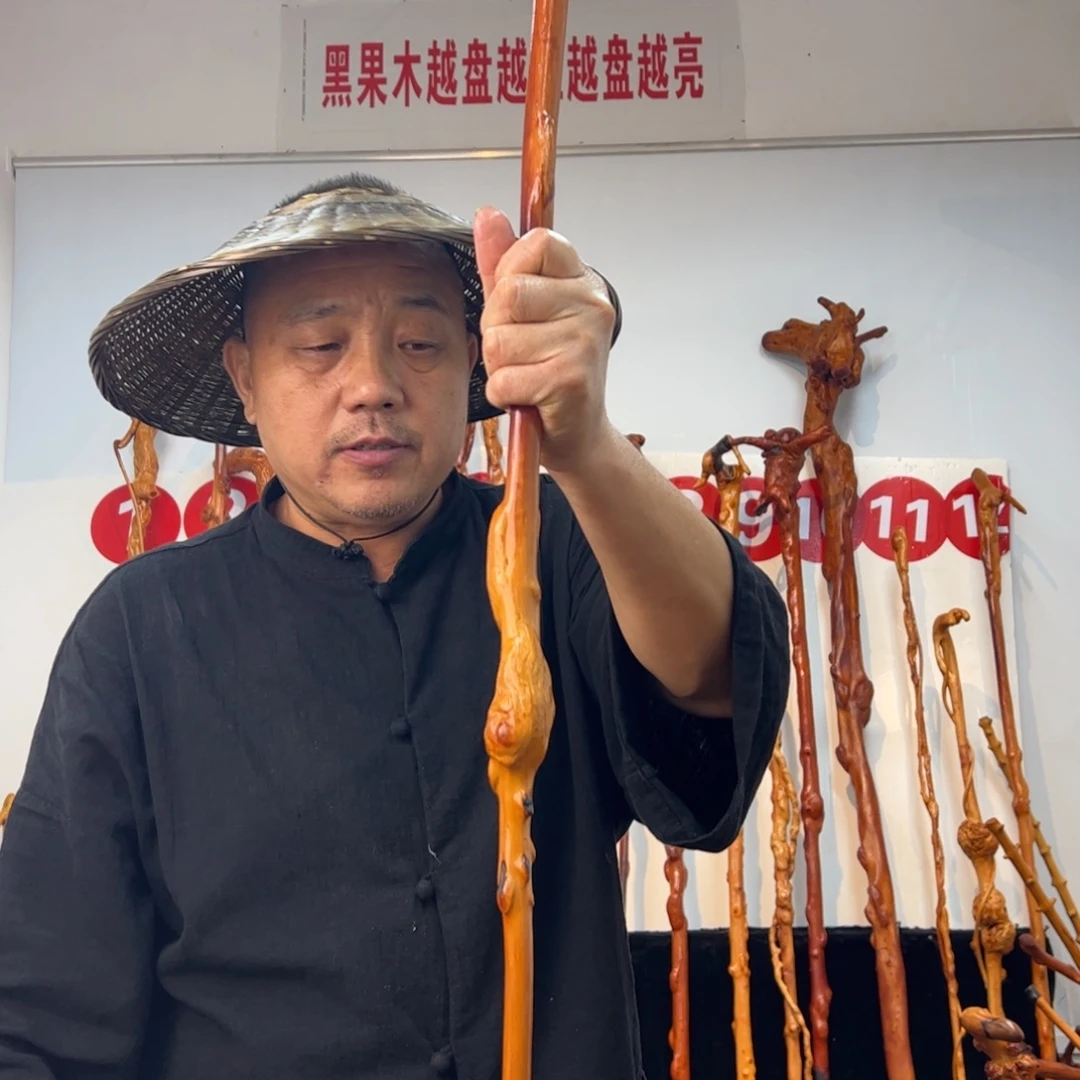 蜘***队黑果木其他黑果木219