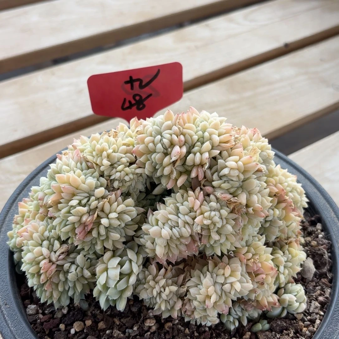 11111111111111111111