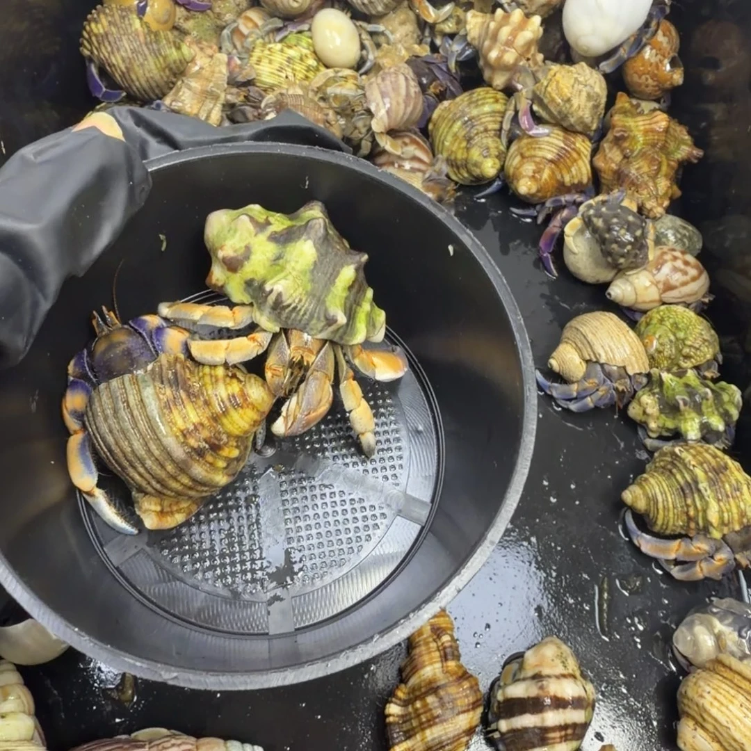 你要不要来我这儿嘛亲子来不要