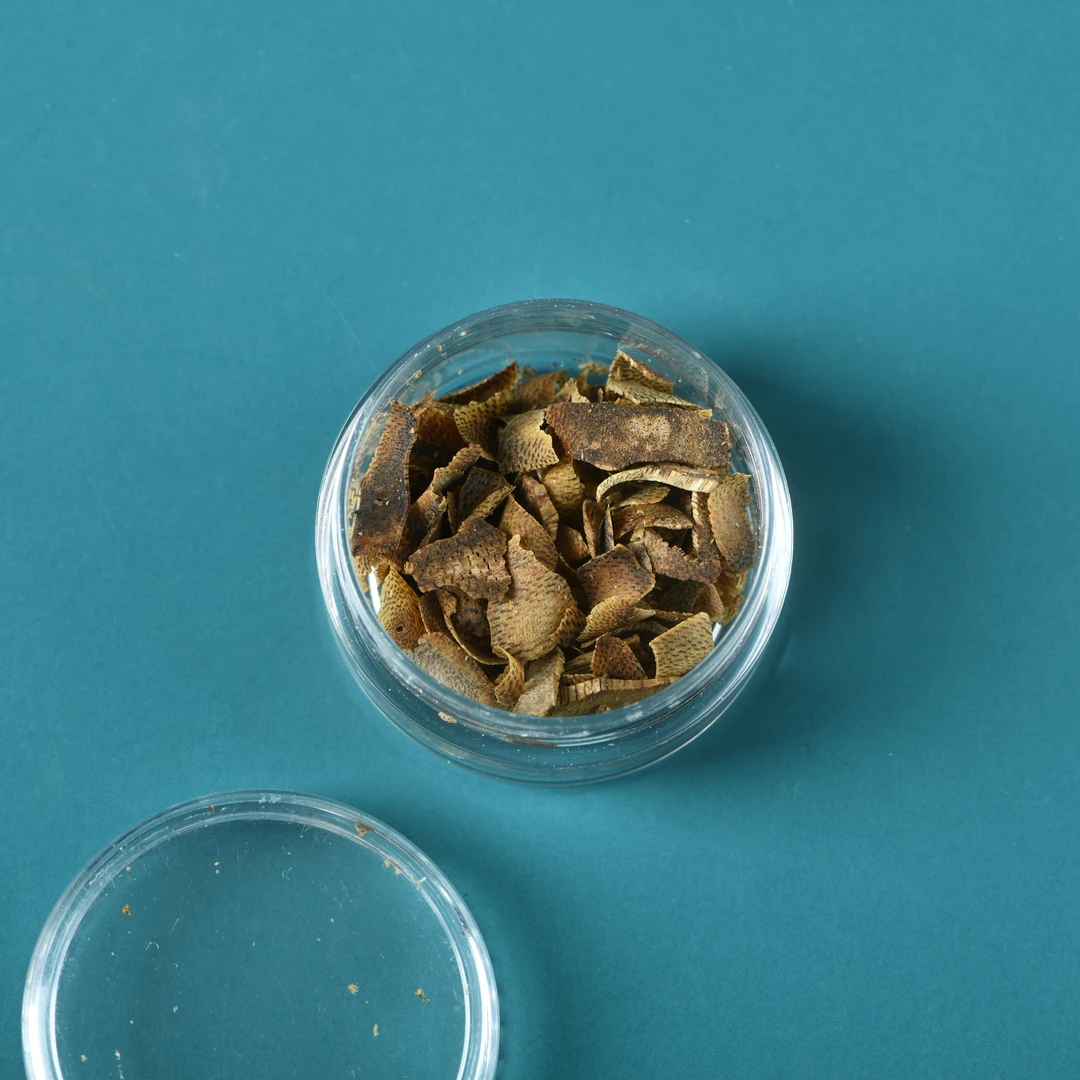 越南芽庄白奇楠切片1克装