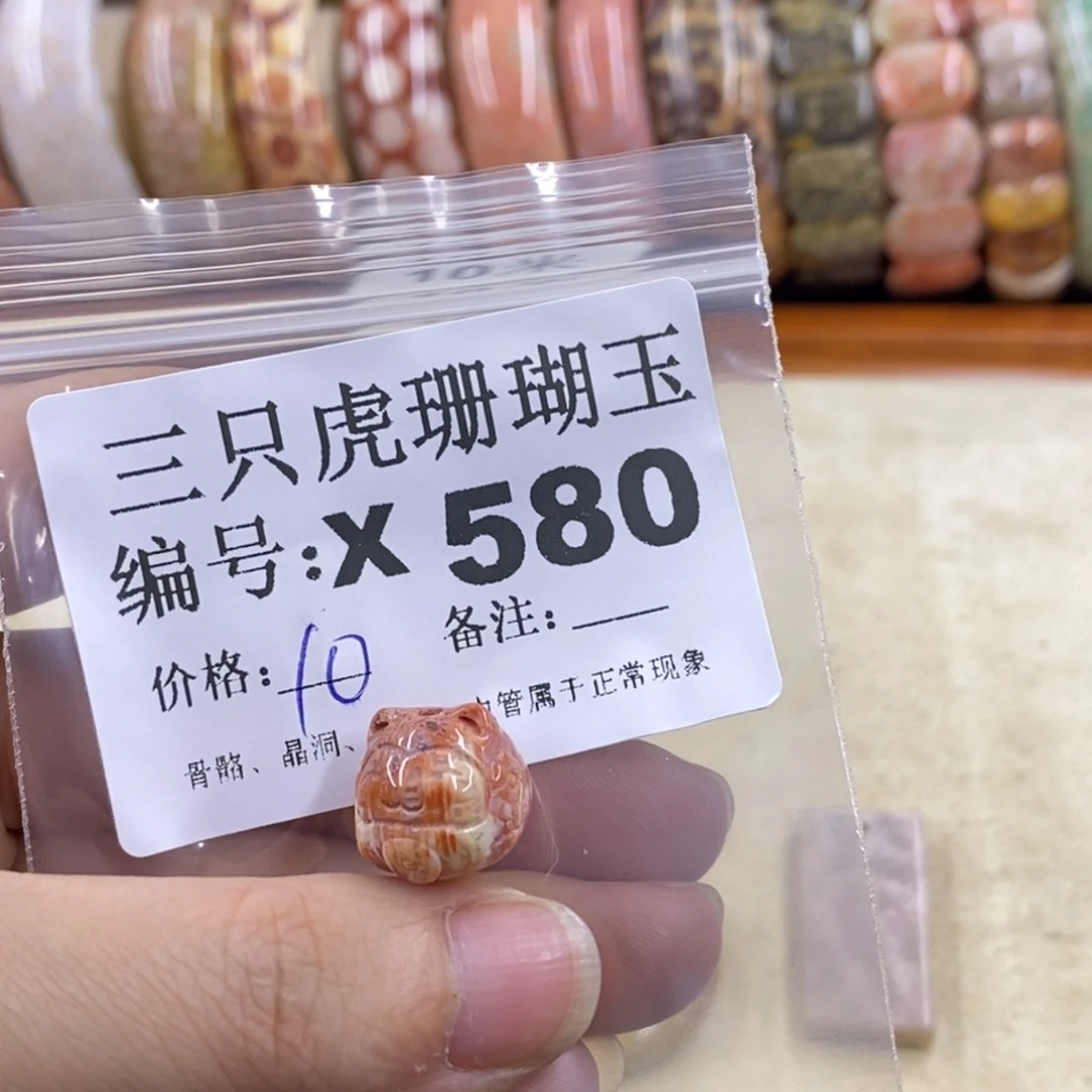 硅化珊瑚（珊瑚玉）1未镶嵌比****士