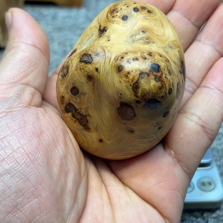 柏木（崖柏）崖柏23