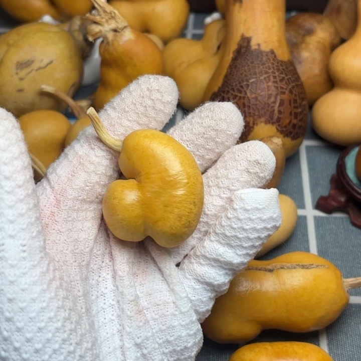 柠***柒葫芦风裂66666666666