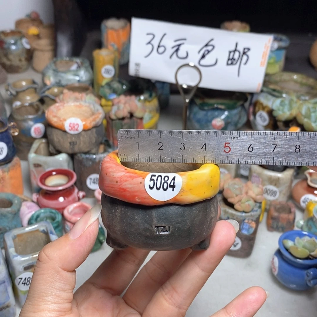 拍3送一个小礼物