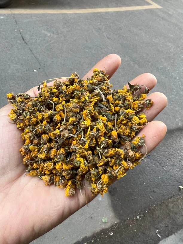 野生菊花农产品250克起