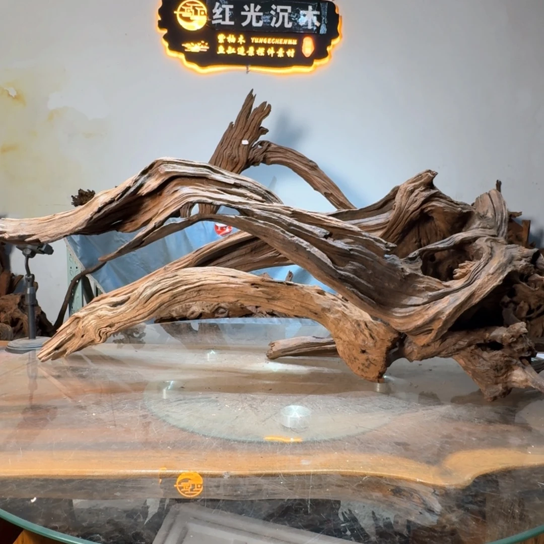 可***族沉木一物一拍造景