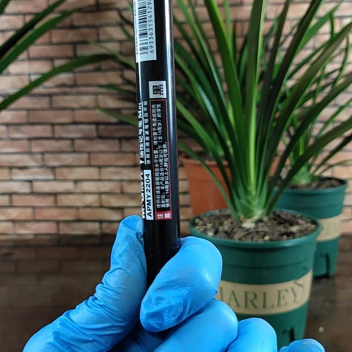 完全开放11111111111