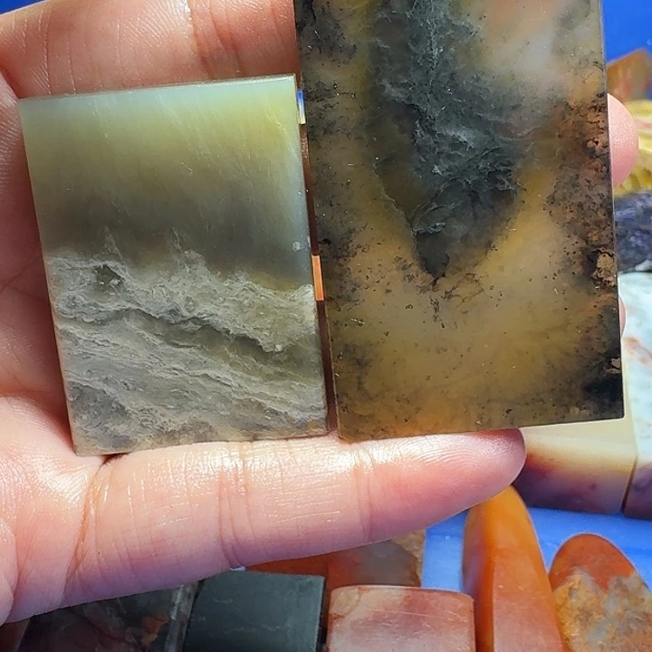 一***仙寿山石寿山品种石